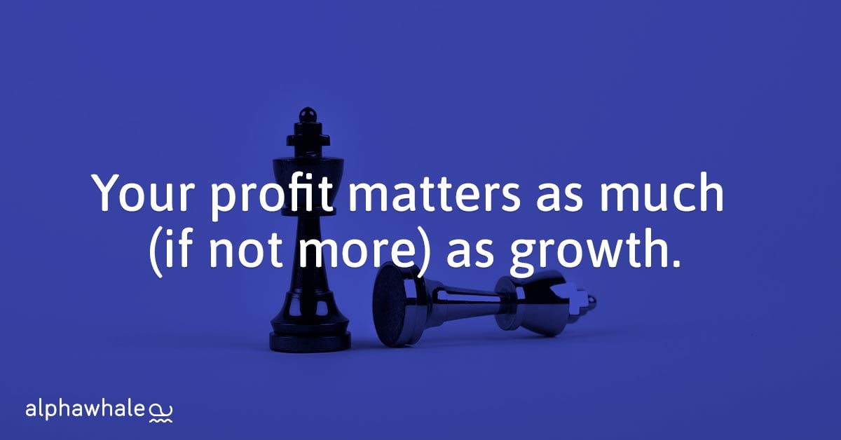 Profit-matters-mpre-than-growth